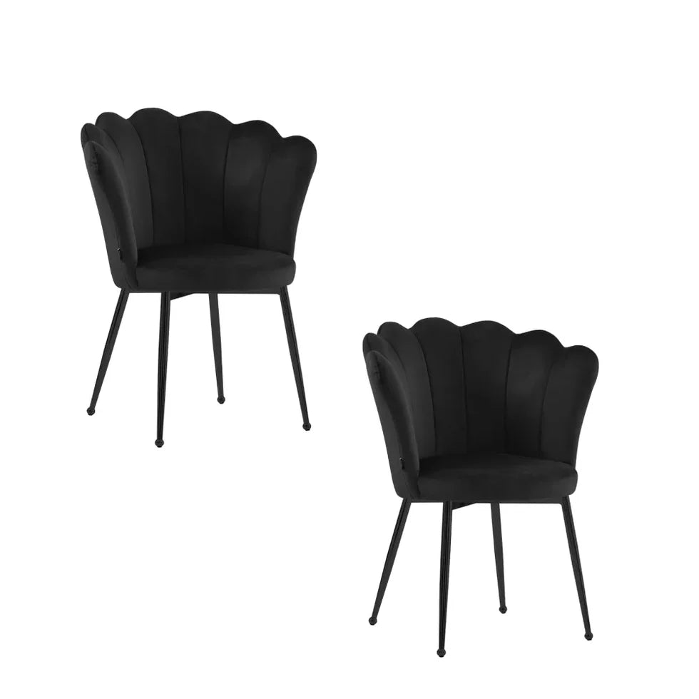Lot 2 chaises NYMPHEA pied noir