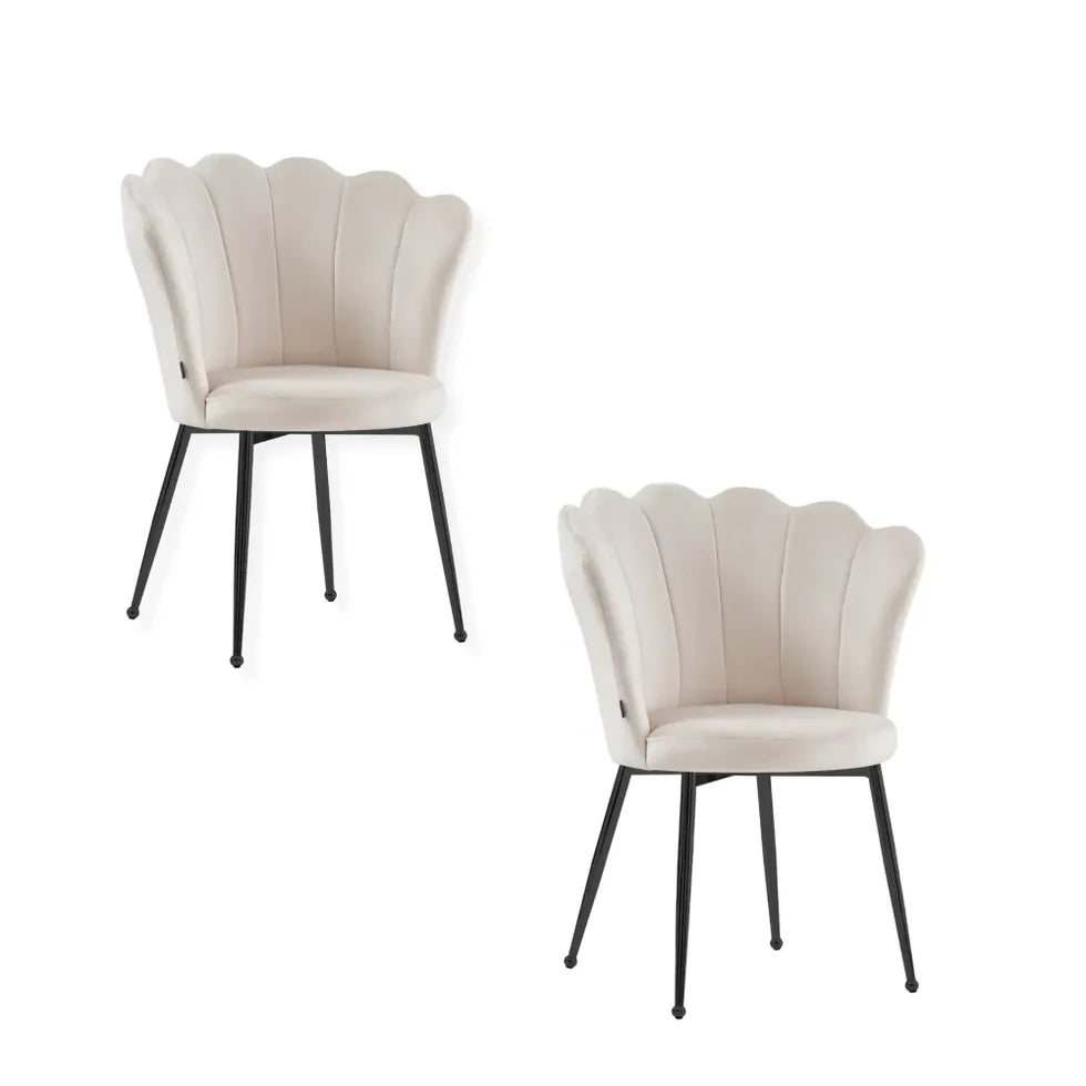 Lot 2 chaises NYMPHEA pied noir