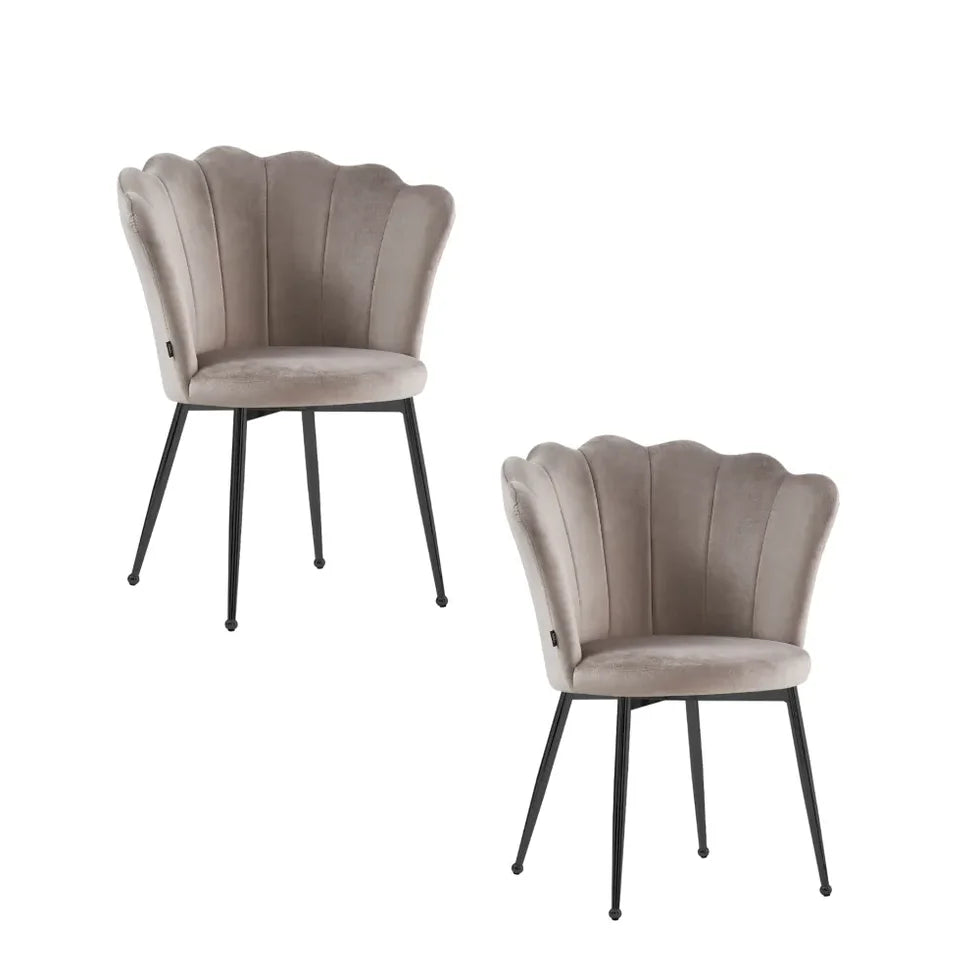Lot 2 chaises NYMPHEA pied noir
